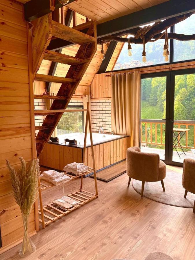 ホテル Berva Bungalow Çamlıhemşin エクステリア 写真